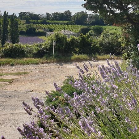 Le Clos Du Grand Chene - Gites 4 Etoiles - Saint-Marcel-d'Ardeche Екстер'єр фото